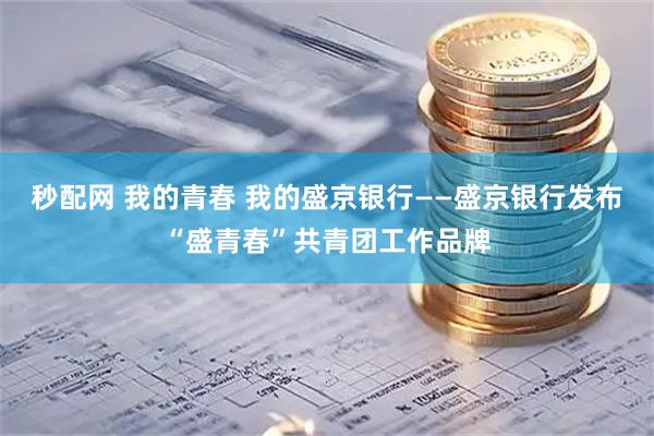 秒配网 我的青春 我的盛京银行——盛京银行发布“盛青春”共青团工作品牌