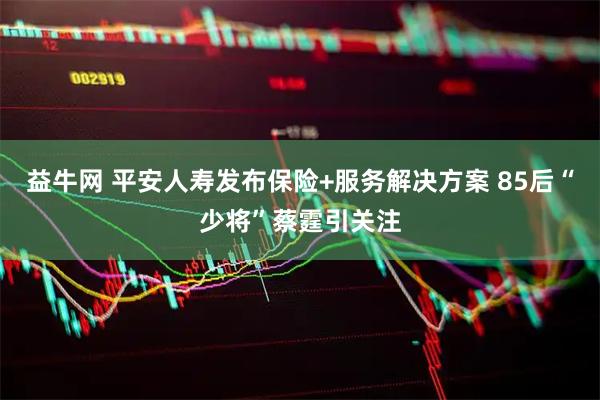益牛网 平安人寿发布保险+服务解决方案 85后“少将”蔡霆引关注