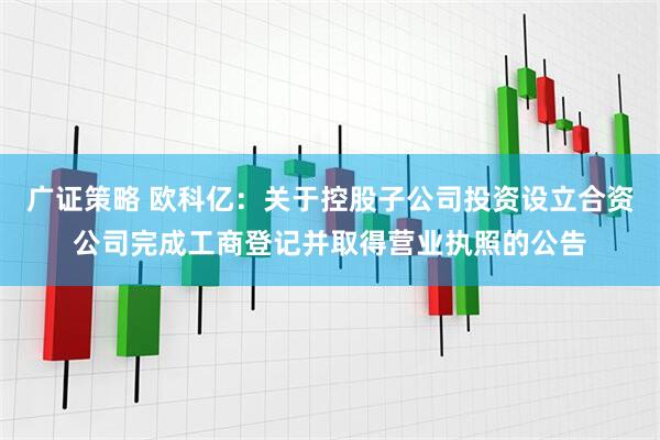 广证策略 欧科亿：关于控股子公司投资设立合资公司完成工商登记并取得营业执照的公告