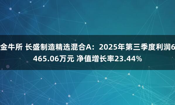 金牛所 长盛制造精选混合A：2025年第三季度利润6465.06万元 净值增长率23.44%