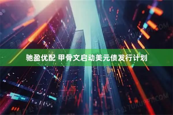 驰盈优配 甲骨文启动美元债发行计划