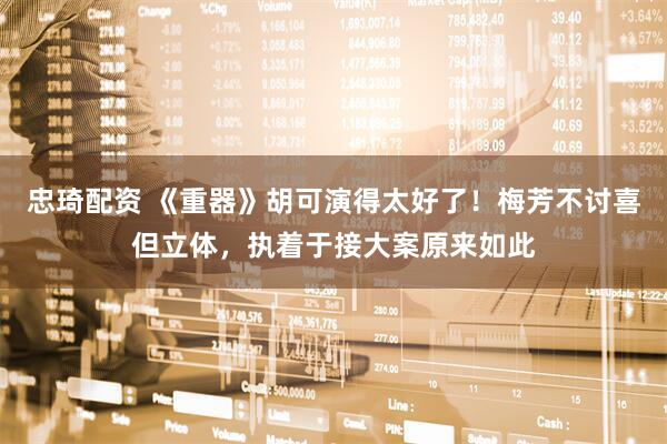 忠琦配资 《重器》胡可演得太好了！梅芳不讨喜但立体，执着于接大案原来如此